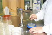 An image of bacteria testing in pork products