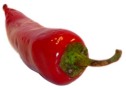 An image of a red chili pepper