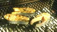 grilling fish