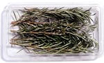 An image showing herbs and spices (used in cooking)