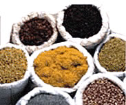 Image showing herbs and spices used to flavor pasta