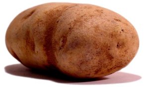 A potato