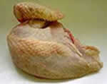 An image of a chicken breast/wing