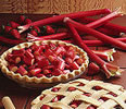 rhubarb pie