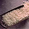An image of short grain rice