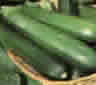 Courgette