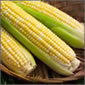 Sweetcorn