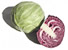 Cabbage