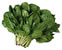 Spinach