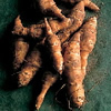 Jerusalem Artichokes