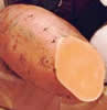 Sweet Potato