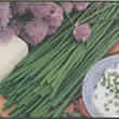 Chives