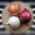 red, white and spanish onions