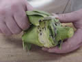 peeling the inedible leaves from the artichoke