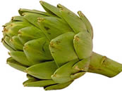 Artichoke