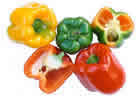 capsicum - peppers