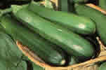 courgette