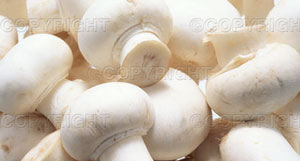 button mushrroms