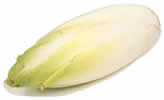 chicory/endive