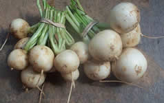 turnips
