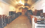 a cold store for tuber vegetables
