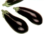 aubergines