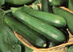 courgettes